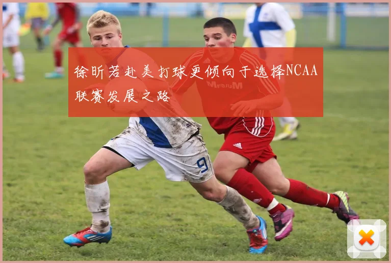 徐昕若赴美打球更倾向于选择NCAA联赛发展之路