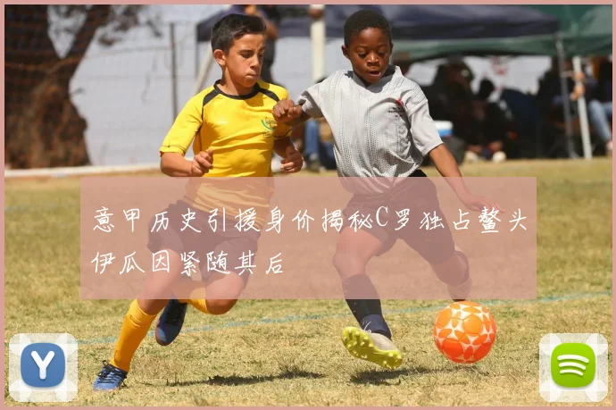 意甲历史引援身价揭秘C罗独占鳌头伊瓜因紧随其后
