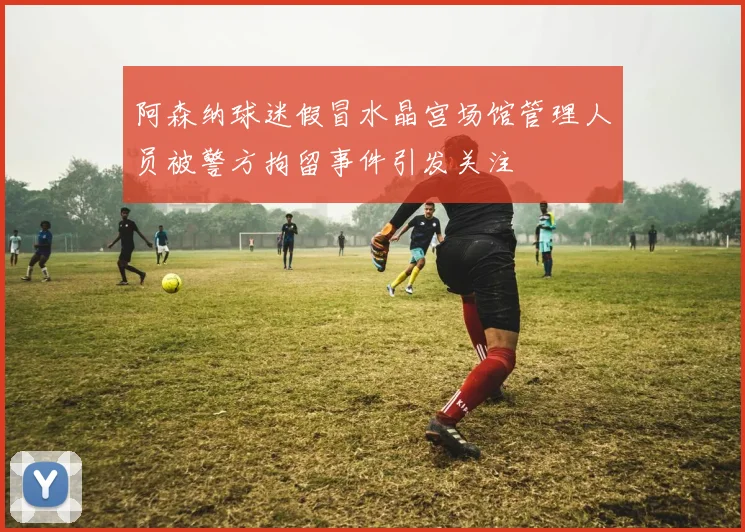 阿森纳球迷假冒水晶宫场馆管理人员被警方拘留事件引发关注